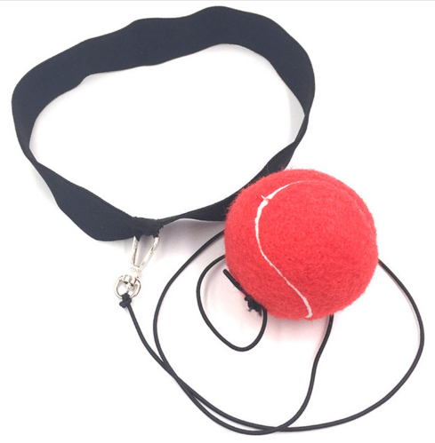 Boxen Speedball Reflexball Crossfit