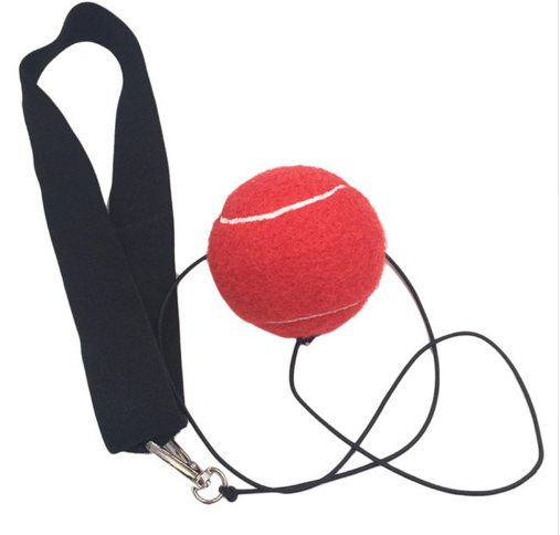 Boxen Speedball Reflexball Crossfit