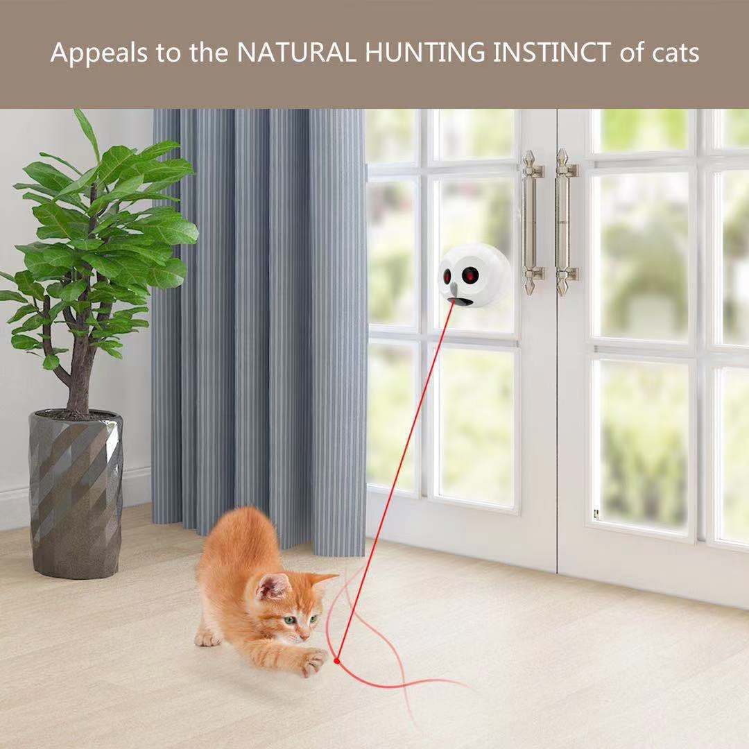 Katzenspielzeug Laser 