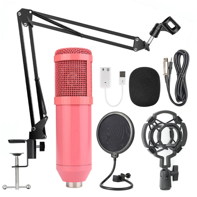 HD Netz-Mikrofonständer-Set BM-800D