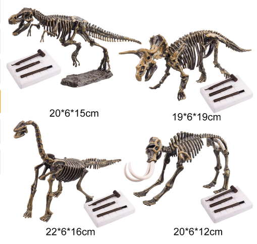 Dinosaurier Ausgrabungs-Set