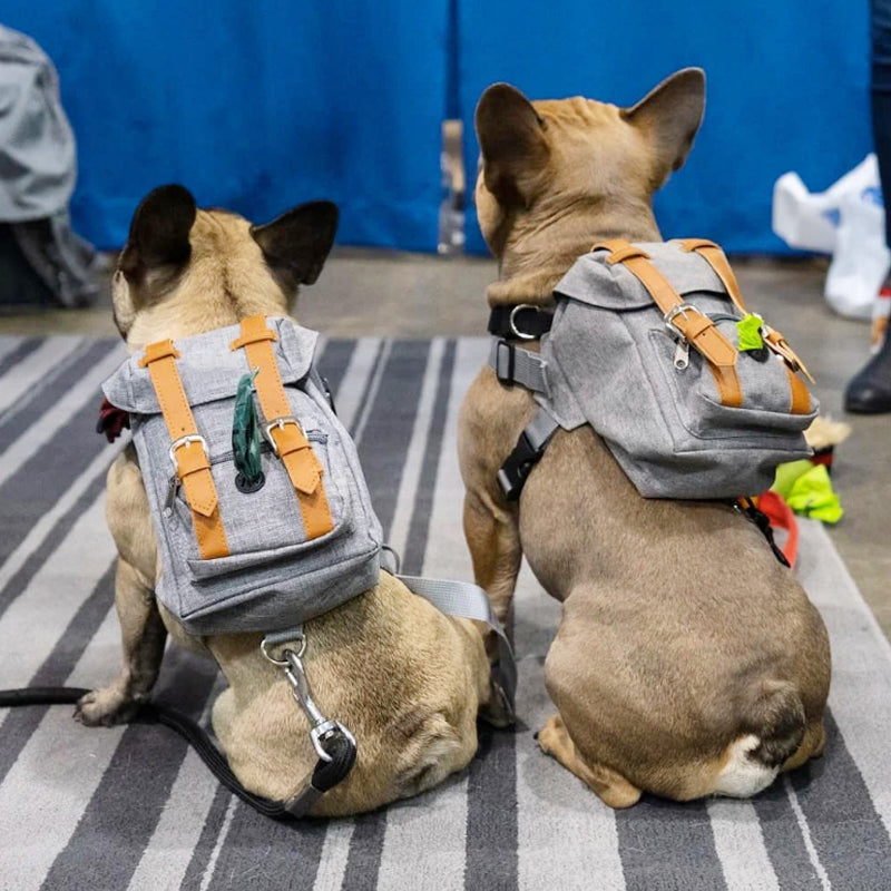 Rucksack für Hunde