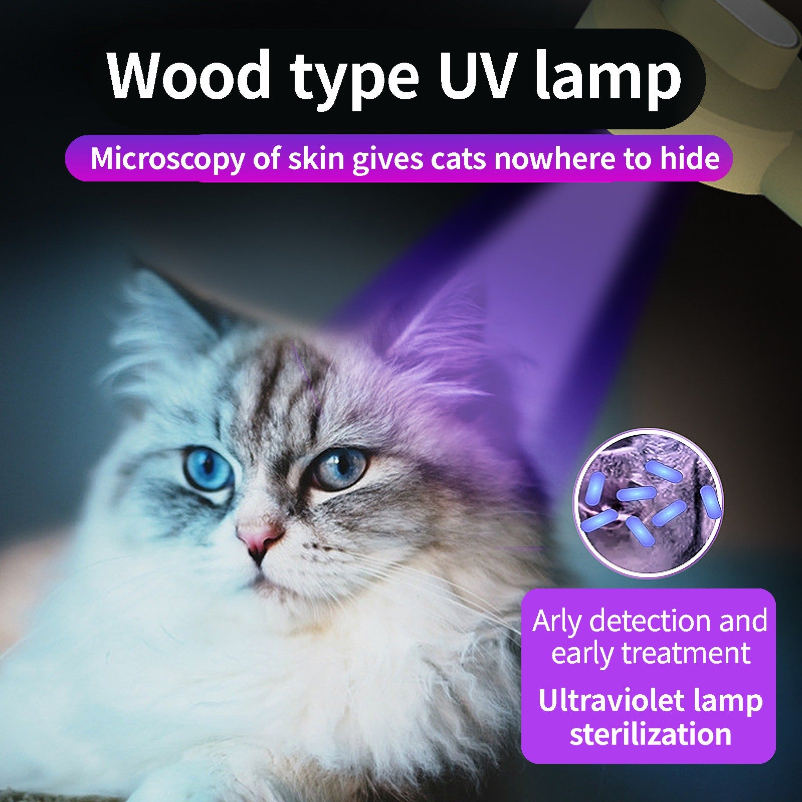 Fellbürste mit UV-Sterilisierung